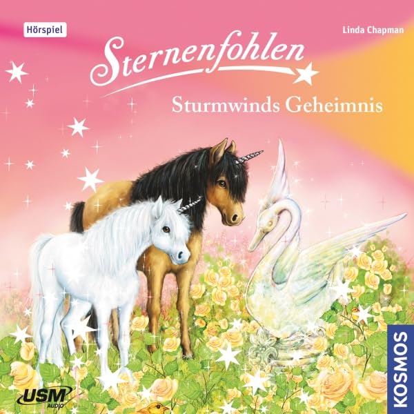 Cover art for Sturmwinds Geheimnis