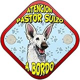 pastor suizo precio chile Entrega rápida a tu casa Cartel perro a bordo atención Pastor Suizo
