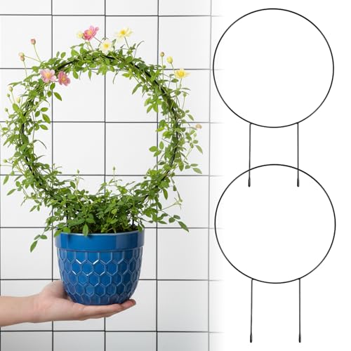 2 Pcs Trellis For Climbing Plants Indoor image