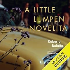 A Little Lumpen Novelita Audiobook By Roberto Bola&ntilde;o, Natasha Wimmer cover art