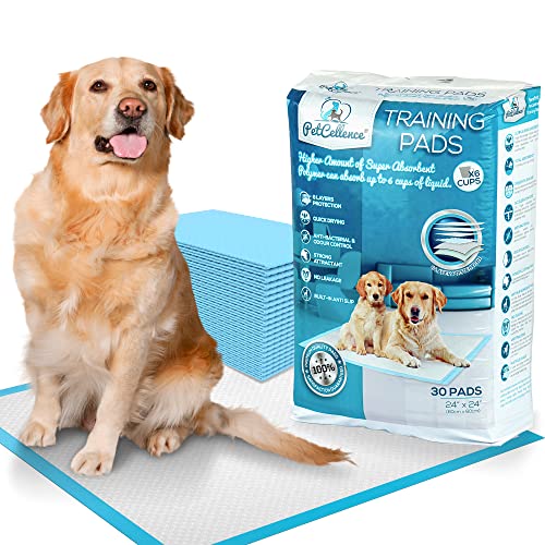 Top 10 Puppy Pads With Adhesive of 2022 Katynel