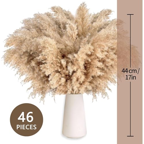 Ramo de hierba de pampas seca natural marrón, 46 pcs miniatura 2