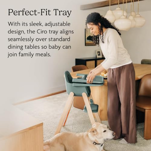 Image of UPPAbaby Ciro V2 High Chair - Easy Clean Adjustable, Grow with Baby - Anya