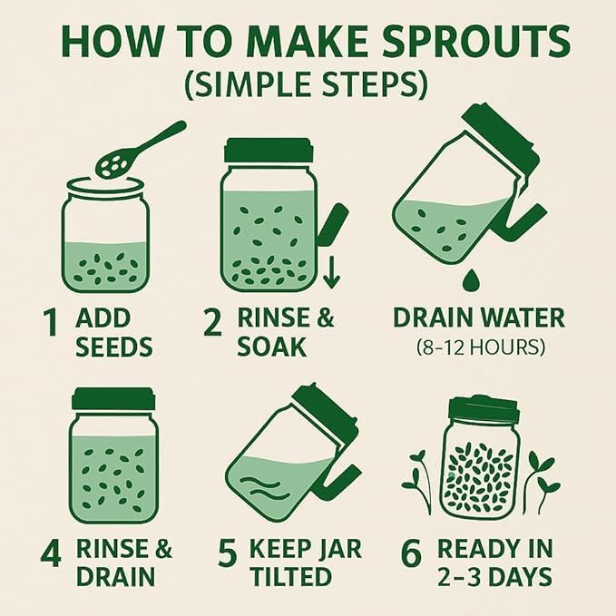 Image of MOROVIK Sprouts Maker Jar - 720ml Durable & Reusable Sprouter for All Seeds and Beans, BPA-Free with 300-Hole Mesh Lid for Airflow, Odor-Free, Easy Drainage, and Hygienic Design - Green (GREEN)