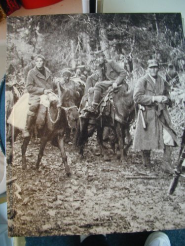 Partisans and Guerrillas (World War II) by Rona... B01F9FVA54 Book Cover