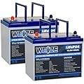 WEIZE 12V 100Ah LiFePO4 Battery Group 24, Upgrade Mini Size & Lightweight, 100A Smart BMS, Deep Cycle Low Temperature Protection Lithium Battery for RV, Solar, Marine, Trolling Motor (2 Packs)