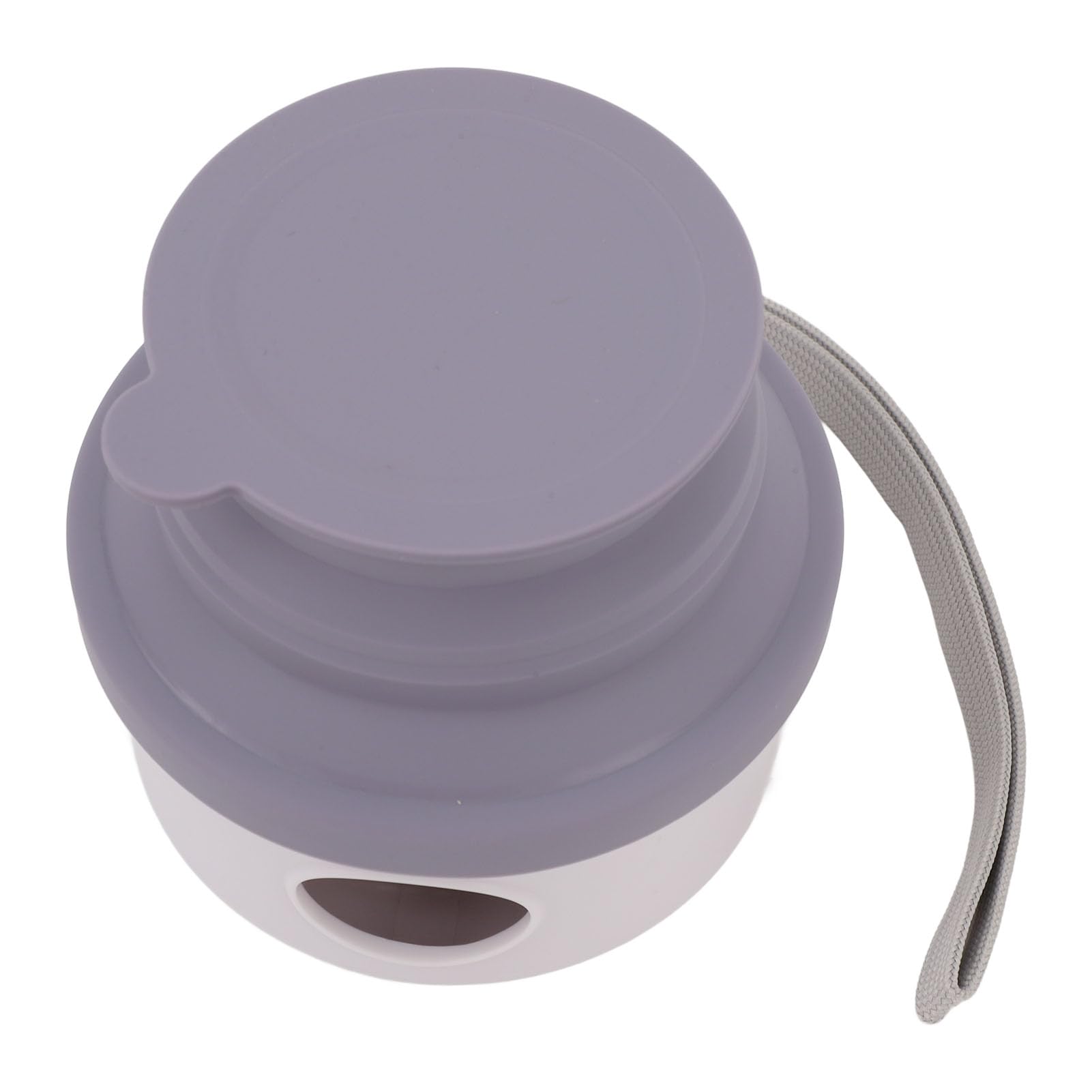 Ciotola da viaggio per cani da esterno e pieghevole in silicone per animali domestici, 150 ml (Viola)