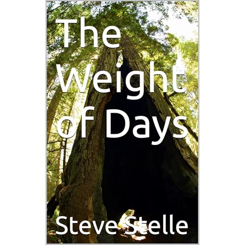 The Weight of Days Audiolibro Por Steve Stelle arte de portada