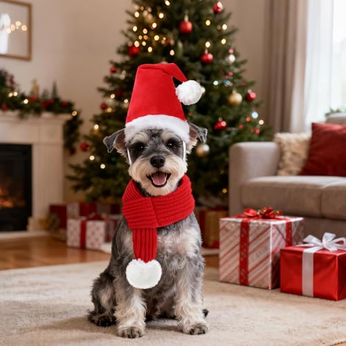 YUEPET Disfraz Navideño para Perro XL con Sombrero y Bufanda miniatura 6