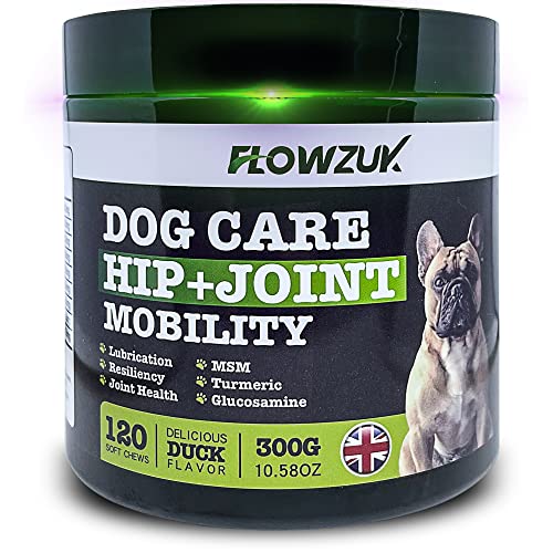 Is Msm Okay For Dogs