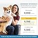 Furbo 360° Hundekamera mit Heimsicherheits-Paket [Premium MIT ABO]: Intelligente Kamera mit App für Hund & Heim, Rotierende 360° Sicht, Farbnachtsicht, Tracking, Leckerliwurf, Bell-Alarm, Smart Alerts