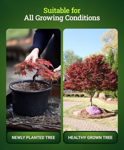 FoxFarm Happy Frog Japanese Maple Fertilizer, Nutrient-Rich Formula for Japanese Maples, Evergreens & Low pH Feeders, NPK 4-3-4 (4 lb)