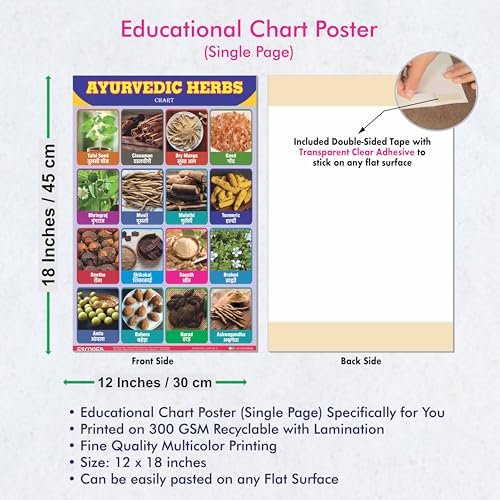 Image of ESCAPER Ayurvedic Herbs Educational Charts for Kids Learning (11.5 x 17.5 inches), Study Material, Learning Books, Posters