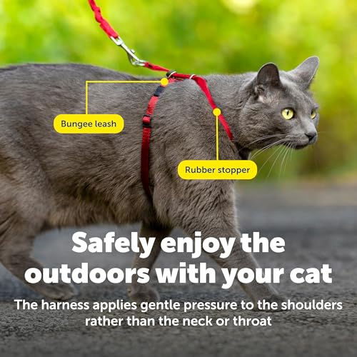 PetSafe Easy Walk Katzengeschirr, Mit elastischer Bungee-Leine, Für Spaziergänge mit Ihrer Katze, Größe L, Rot