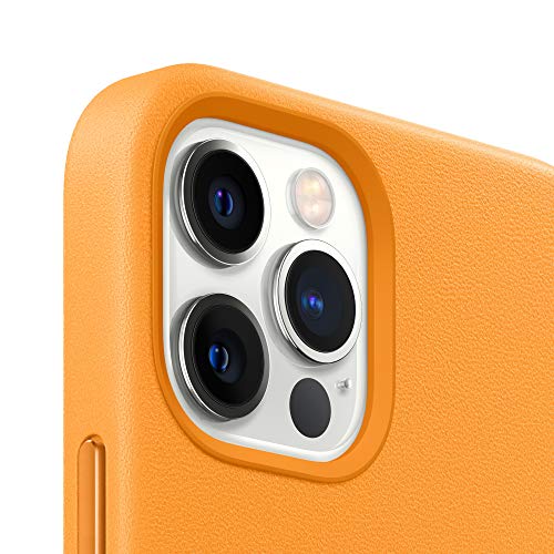 Image of Apple iPhone 12 Pro Max Leather Case with MagSafe - California Poppy