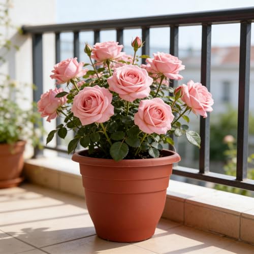 Image of RooTrimmer 3-Pack 16 Inch Large Outdoor Plastic Plant Pots with Drainage Holes - Durable,Lightweight & Weather-Resistant Flower Planters for Patio,Garden,Balcony (Pottery Red)