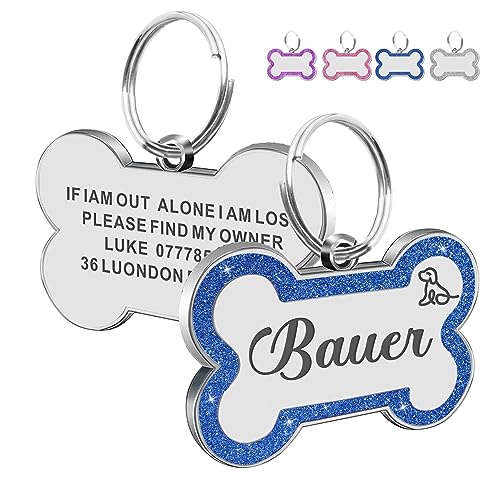 Personalized Stainless Steel Dog Tag