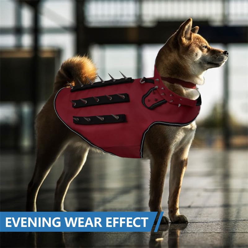 Coyote Proof Vest Small Dog Hawk Protection Coyote Proof Vest To