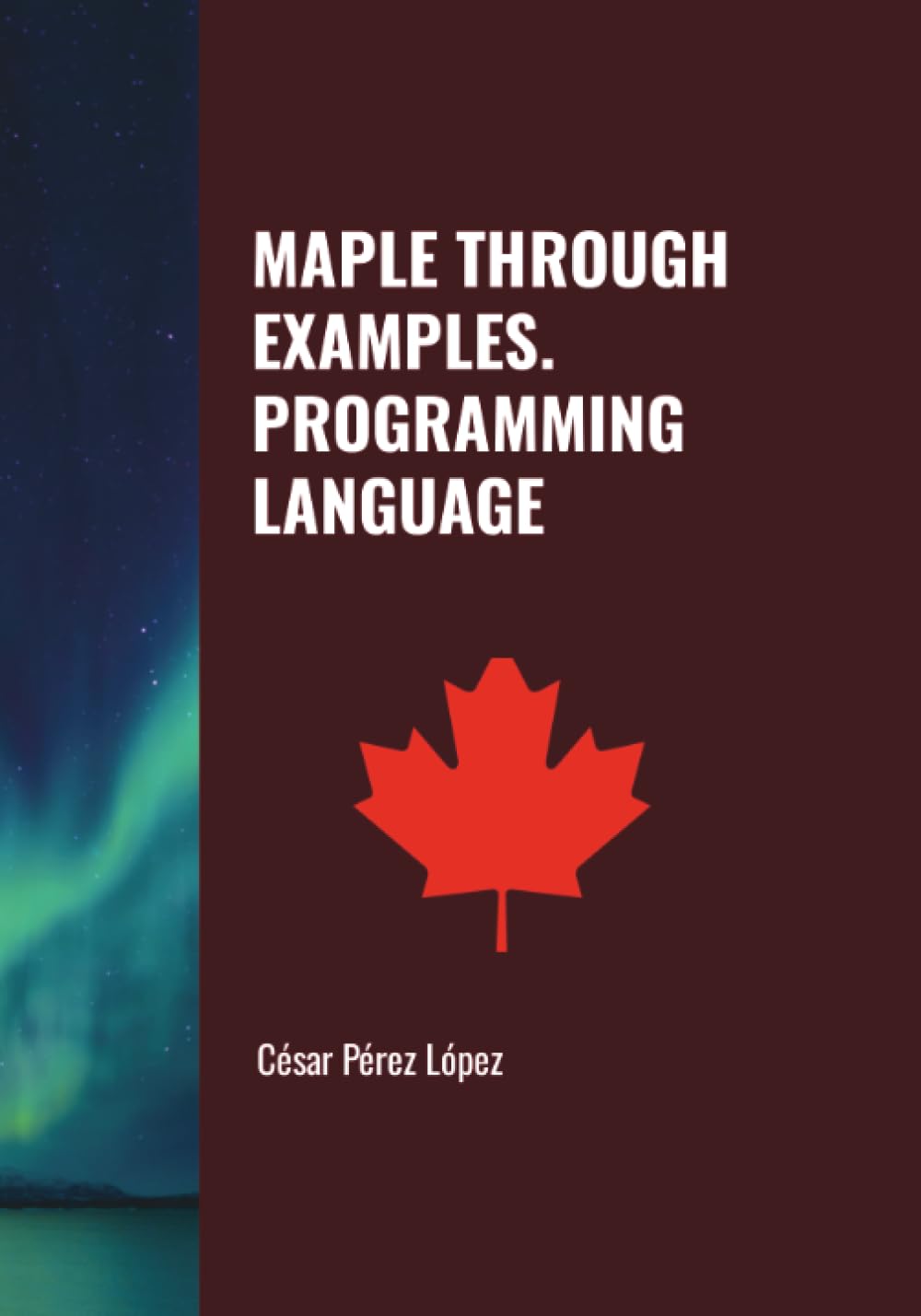 MAPLE THROUGH EXAMPLES. PROGRAMMING LANGUAGE