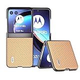COQUE