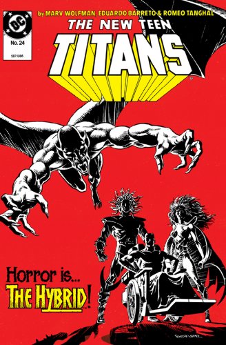 Cover of The New Teen Titans (1984-1996) #24 (The New Titans (1984-1996))