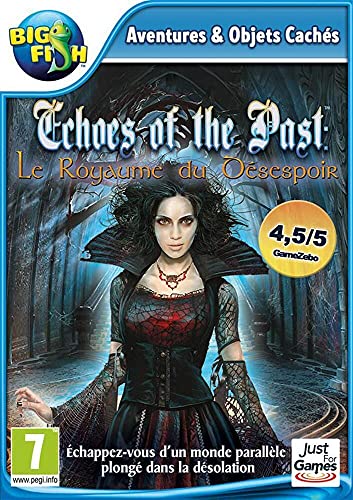Echoes Of The Past Le Royaume Du Désespoir Pc - vue 4