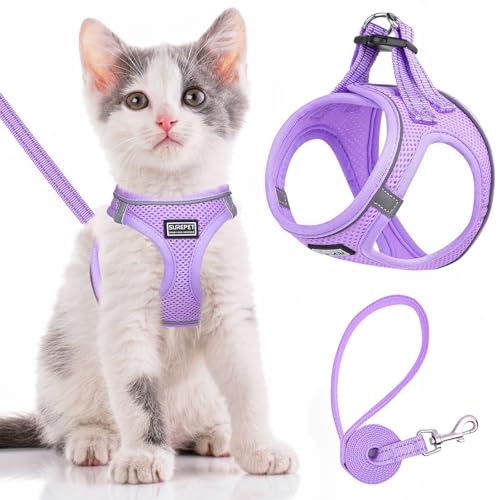 Harnais et laisse anti-fugue - Harnais réglable en maille souple pour la promenade - Harnais réfléchissant pour chat, petit chien et chiot (violet, taille XXS)
