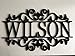 Personalized Metal Name Sign, Outdoor Hanging Front Door Family Last Name Signs, Garden Monogram, Custom Wedding Gift Sign, Wall Art Decor Ornament, Housewarming, Gifts for Hostess (18 inches length)