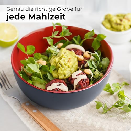 MIAMIO - Geschirrset 12 Personen/Steingut Geschirr Set 36-teilig, Tafelservice Steingut, Schüssel- und Teller Set - Spülmaschinen- und Mikrowellenfest - Le Papillon Kollektion (36 Teile Set)