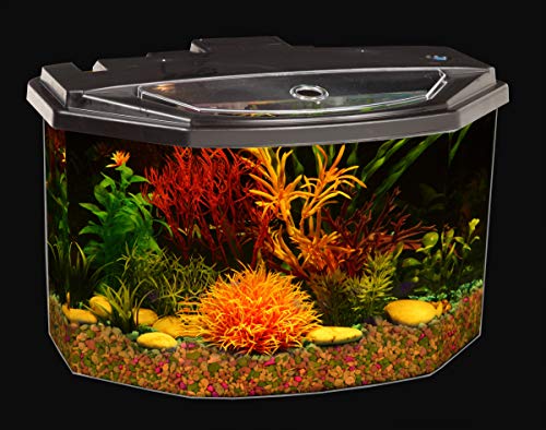 Koller Products 3-Gallon Aquarium Starter Kit With 7 Colors Led Lighting And Complete Filtration, Ideal For A Variety Of Tropical Fish #TOP7
