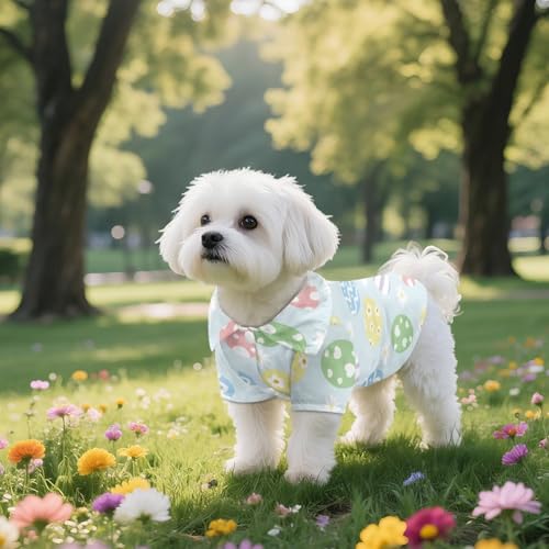 Camisa para perro pequeña con estampado Daisy Easter Egg miniatura 3