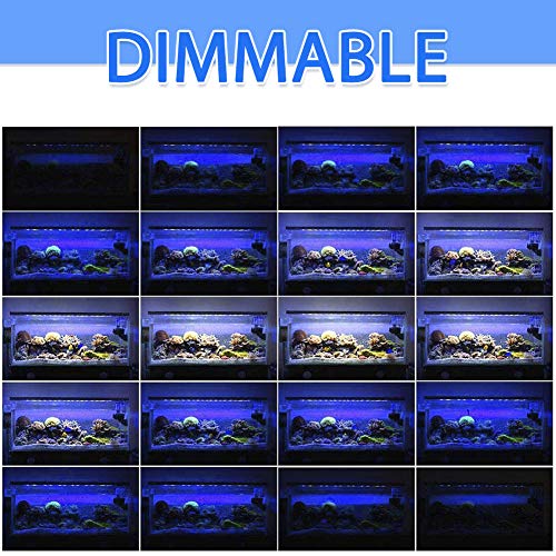 Relassy Aquarium Light, 300W Full Spectrum Led Coral Reef Light for Saltwater Freshwater Fish Tank with 2 Dimmables White & Blue Light
