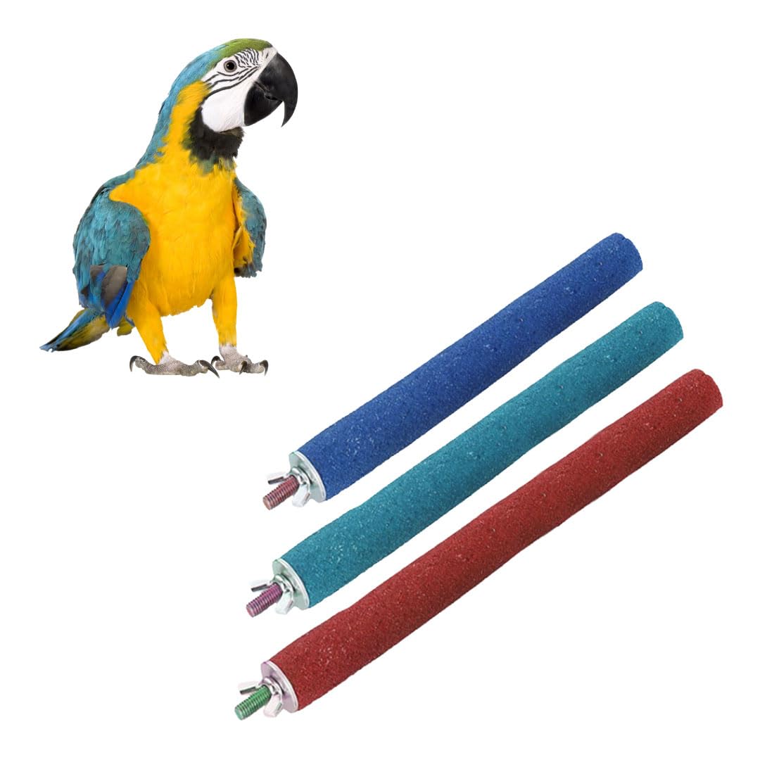 Sage Square Perch Combo of 4, 8 & 10 inches Natural Wood Rough Sand Perches | Exercise, Grinding Nail, Playstand, Training, Cage Accessories |Finches, Parrot, Budgies, Cockatiels (Pack of 3) (B0CPFGLX5Y) Amazon Price History, Amazon Price Tracker