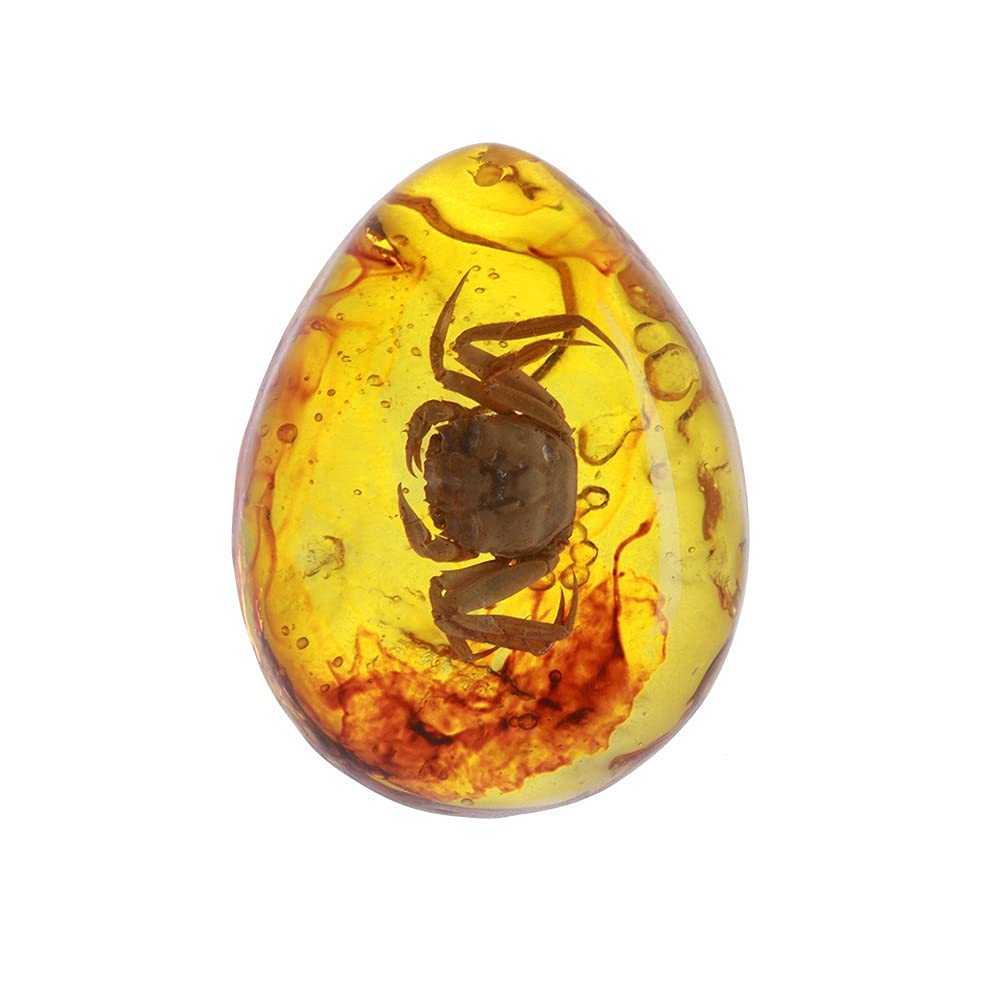 Amazon.co.jp: Diy 工芸ペンダント 10 スタイル天然昆虫琥珀石