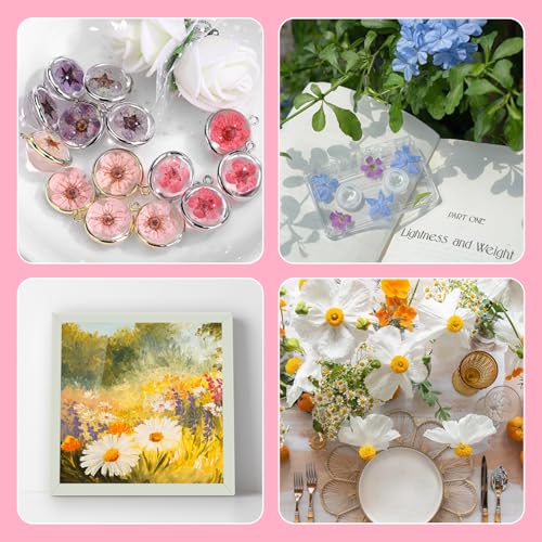 35 flores secas prensadas para resina miniatura 5