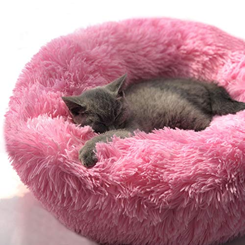 سرير حيوانات أليفة دائرية من القطيفة الناعمة الحديثة من بوديسينت للقطط أو الكلاب الصغيرة ، سرير صغير متوسط الحجم للقطط ، تدفئة ذاتية ، خريف وشتاء داخلي ، غفوة ونوم مريح كيتي تيدي بيت الكلب (M (23.6 بو