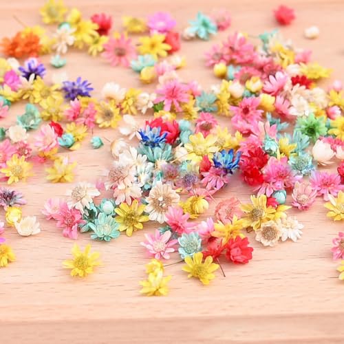 Mini flores secas coloridas para manualidades 280 pcs miniatura 3