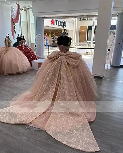 Shiny Butterfly Quinceanera Dress with Big Bow Butterfly Sweet 16 Formal Birthday Party Gowns2