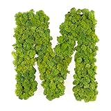 ROSEMARIE SCHULZ Heidelberg