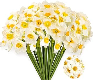 Hjyokuso 12Pcs Artificial Daffodils Flowers Faux Daffodil Flower Bouquet Simulation Narcissus Flowers for Home Office Bridal Wedding Party Decor, DIY Floral Arrangement Table Centerpiece, White