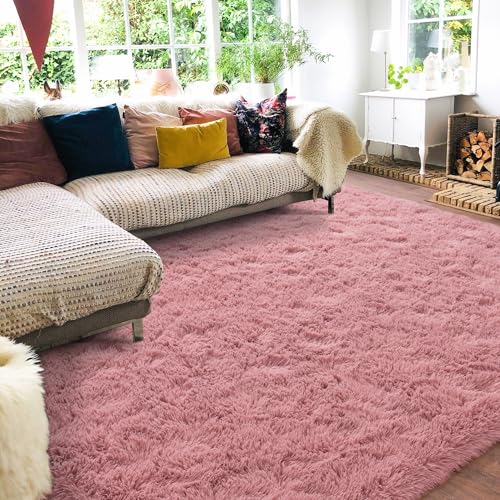Rugs for Living Room 5x7, Soft Shaggy Modern Shag Area Rug for Bedroom, Upgrade Non-Slip Plush Fluffy Carpet for Kids Boys Girls Room Home Decor Aesthetic, Blush
