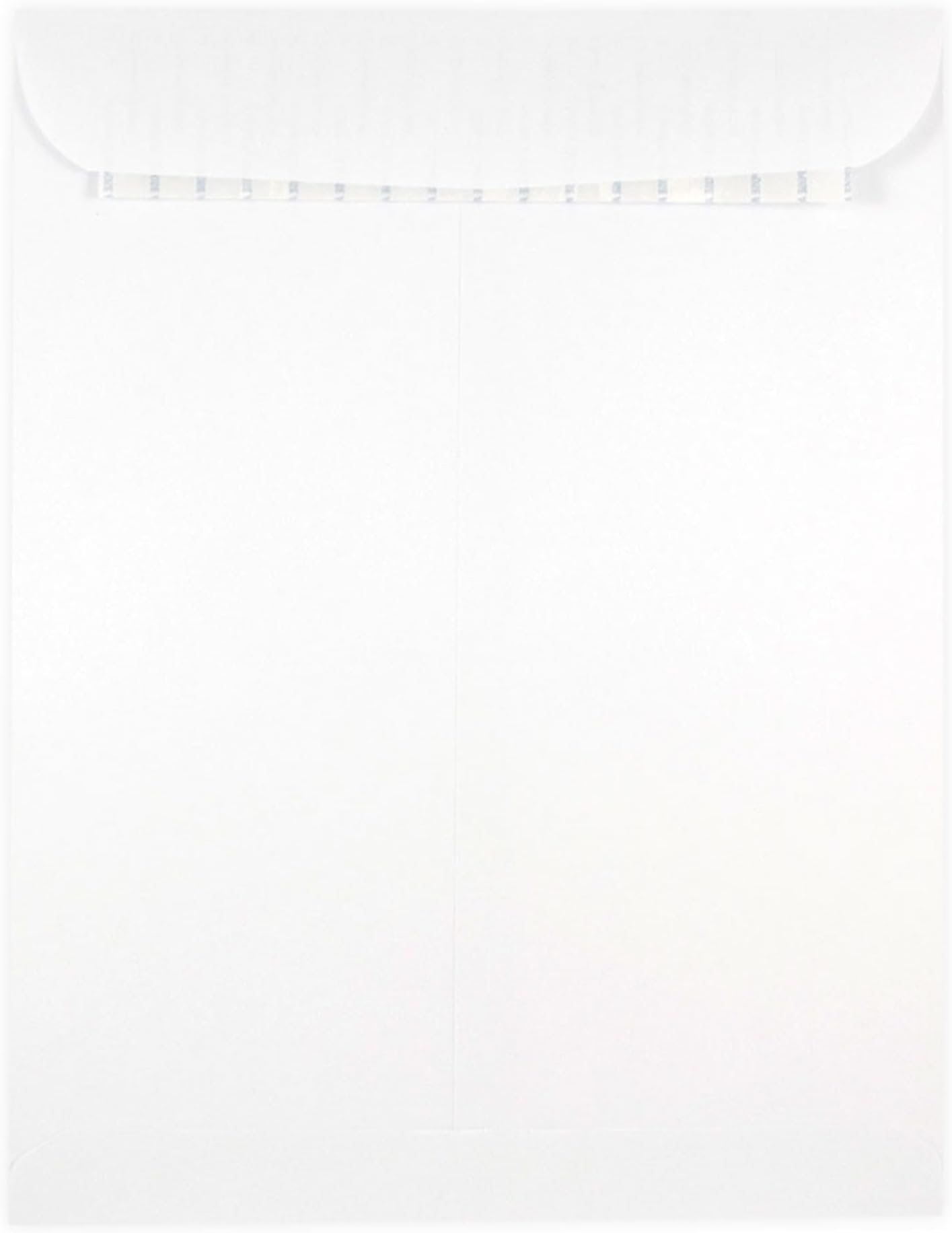 EnvyPak Clear Catalog Envelope Vertical Style Permanent