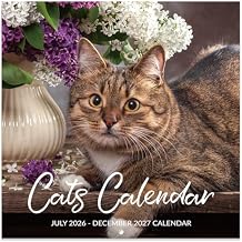 Calendar 2026-2027 - Wall Calendar 2026-2027, Jul. 2026 - Dec. 2027, 12" x 24" Open, 18 Months Cat Calendar 26-27, Large Wall Calendar Kitten, Thick Paper, Unruled Blocks, Perfect for Organizing