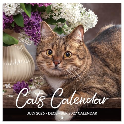 Calendar 2026-2027 - Wall Calendar 2026-2027, Jul. 2026 - Dec. 2027, 12" x 24" (Open), 18 Months Cat Calendar 26-27, Large Wall Calendar Kitten, Thick Paper, Unruled Blocks, Perfect for Organizing