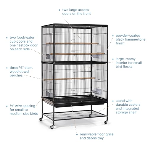 Prevue Pet Products Wrought Iron Flight Cage with Stand F040 Black Bird Cage, 31-Inch by 20-1/2-Inch by 53-Inch