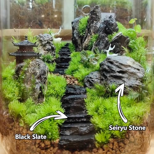 Image of Natural Rocks Slate Stone 1-2.5 Inches Decorative Rocks for Miniature Landscaping,Fairy Gardens,Bonsai,DIY Crafts, Aquariums & Reptile Terrariums-2lb