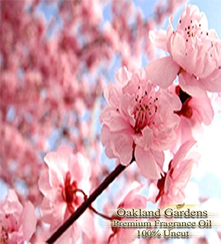 JAPANESE CHERRY BLOSSOM Fragrance Oil - 100% Pure Premium Grade Oil - Tender cherry blossom, sensual white lily and blushing violet petals blended with a hint of warm vanilla - By Oakland Gardens
