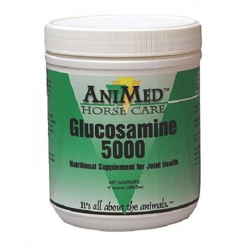 ANIMED1 lb Glucosamine 5000 Equine Supplement Helps Maintain Healthy Cartilage and Joint Function and Flexibility