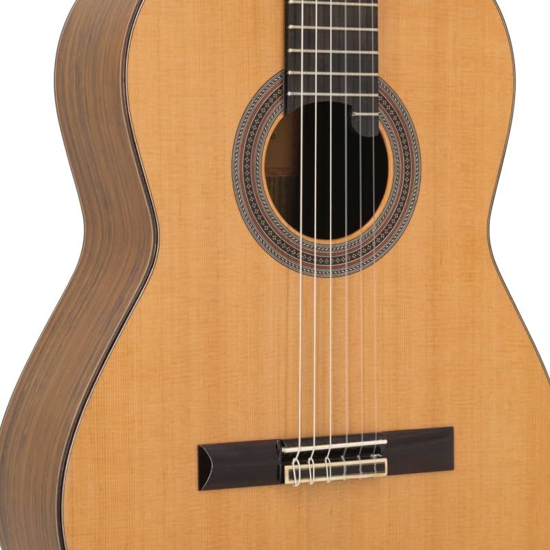 Prodipe 6 corde per chitarra classica (Soloist 900)