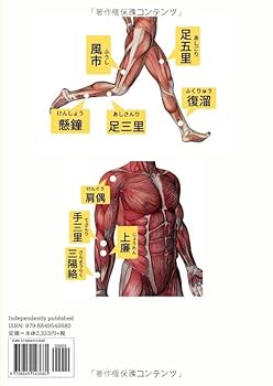 脳梗塞後遺症の新しい診断・治療指針―急性期・慢性期 脳梗塞、心筋梗塞の発症を予測できる新しい血液検査「LOX-index